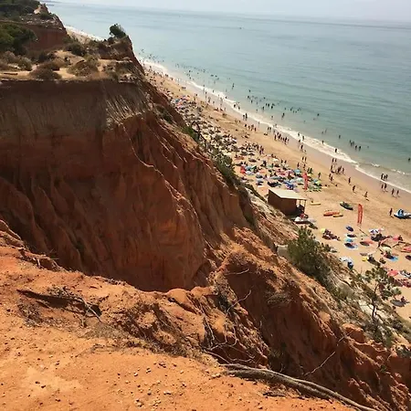 Apartment T1 Vue Mer, Proche De La Plage *